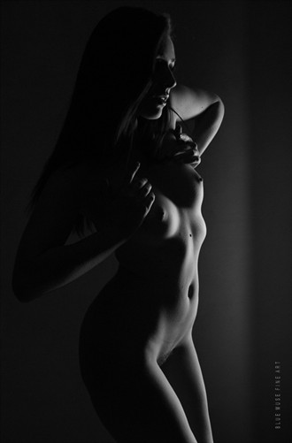 A Touch of Grace Artistic Nude Photo by Photographer Blue Muse Fine Art