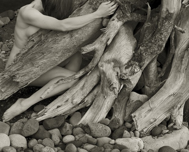 A Voice Within %E2%80%94 The Lake Superior Nudes Plate 43 Artistic Nude Photo by Photographer Craig Blacklock