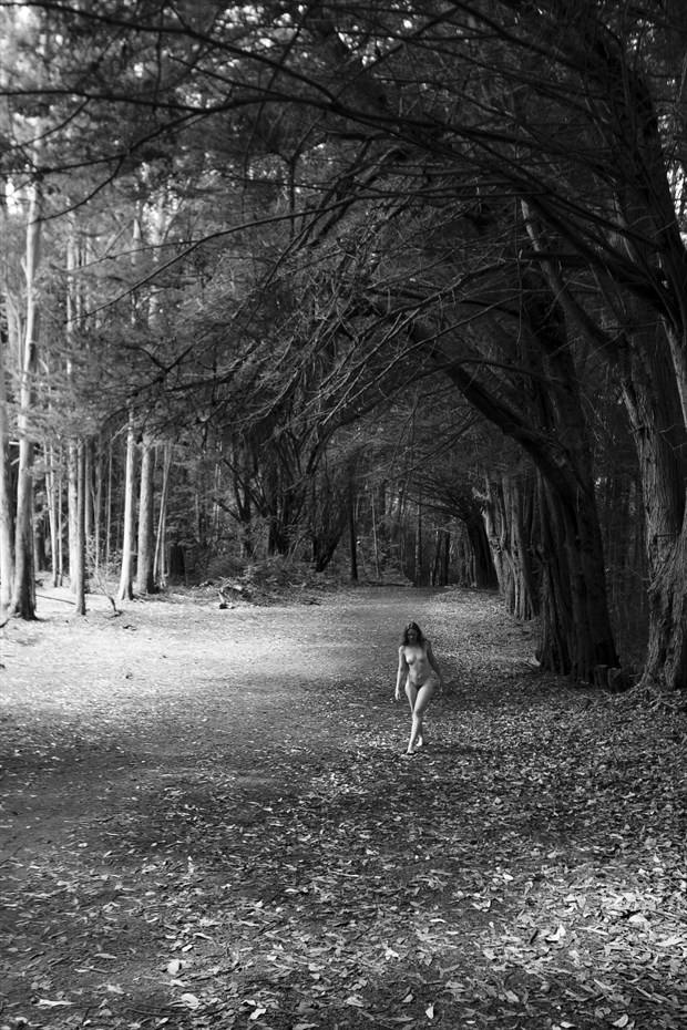 A Walk under the Tall Ones Artistic Nude Photo by Photographer Opp_Photog