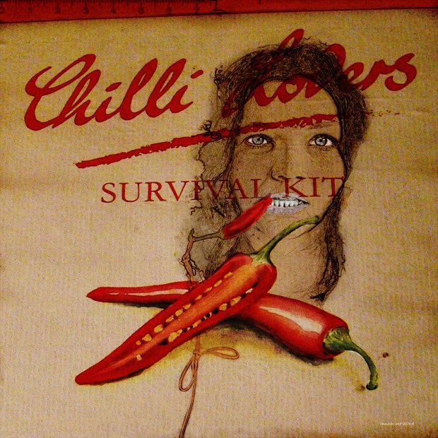 A chilli lovers survival kit Digital Artwork by Artist ianwh