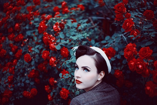 A rose in the roses Vintage Style Photo by Photographer Maja Topcagic