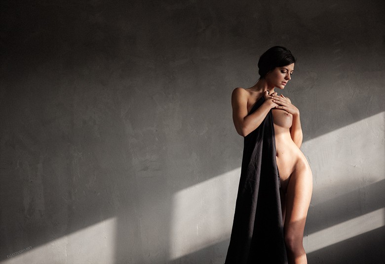 A shine Artistic Nude Photo by Photographer Fabien ElleStudio