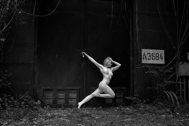 A3684 Artistic Nude Artwork by Photographer Peter Gruener