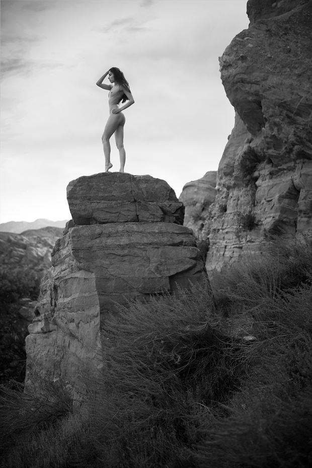 AL F6 Artistic Nude Artwork by Photographer Altlight Photography 