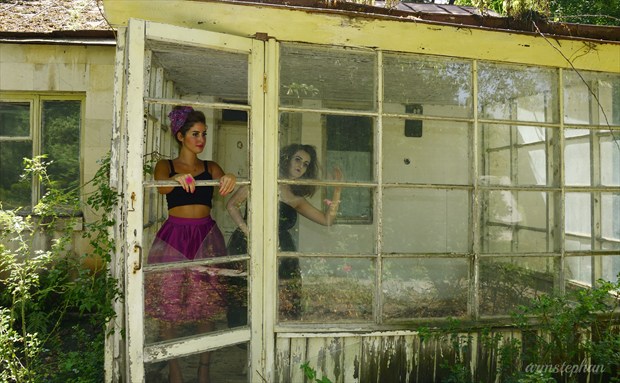 Abandoned doll shop Pinup Artwork by Photographer armstephan