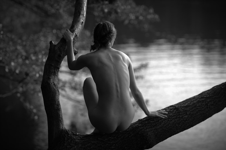 Across the Pond Artistic Nude Photo by Photographer GerardChillcott
