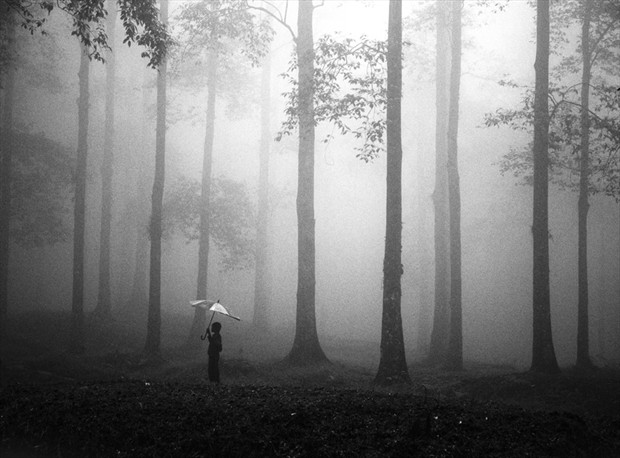 After The Rain Surreal Photo by Photographer Hengki Lee