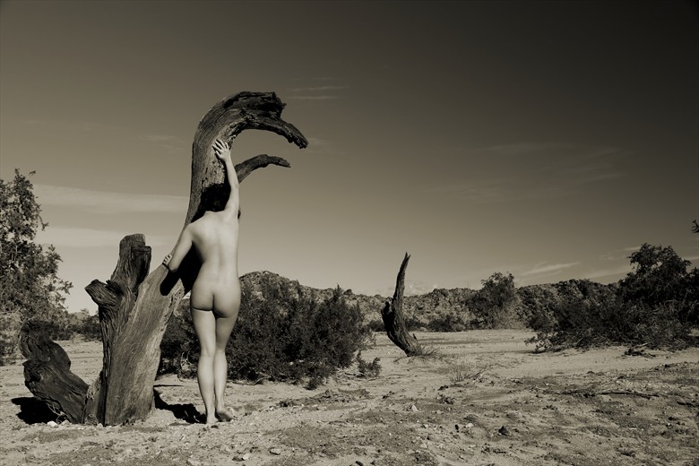 Aftermath Artistic Nude Photo by Photographer David Winge