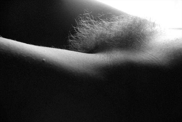 Afternoon at bedside Artistic Nude Photo by Photographer Tim Ash
