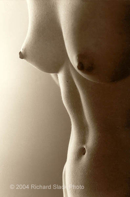 Alane Artistic Nude Photo by Photographer RAS1