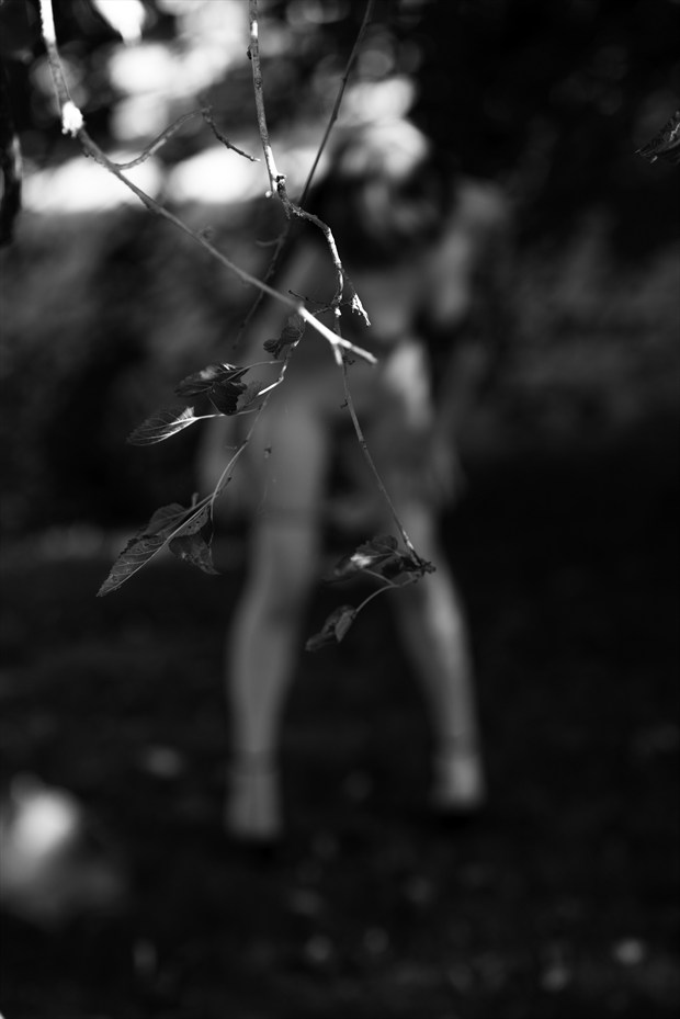 Alexandria in the Wild Artistic Nude Artwork by Photographer Jerry Jr
