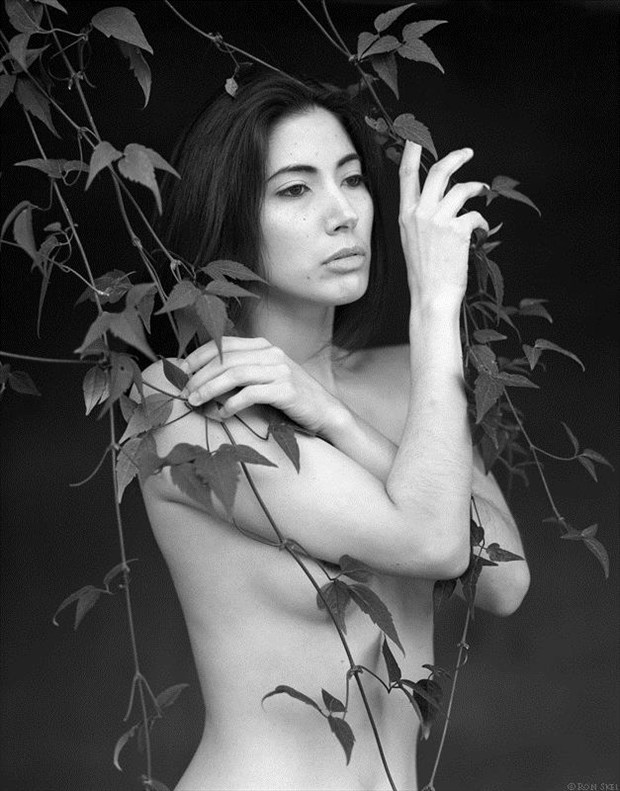 Alexia with Vines Artistic Nude Photo by Photographer Ron Skei (RonChez)