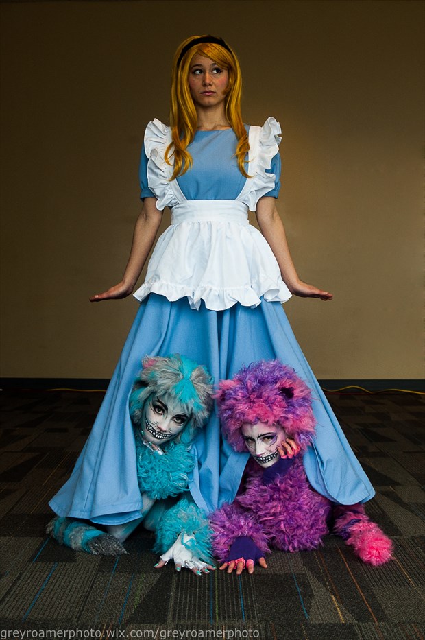 Alice and the Cats Cosplay Photo by photographer Greyroamer Photo