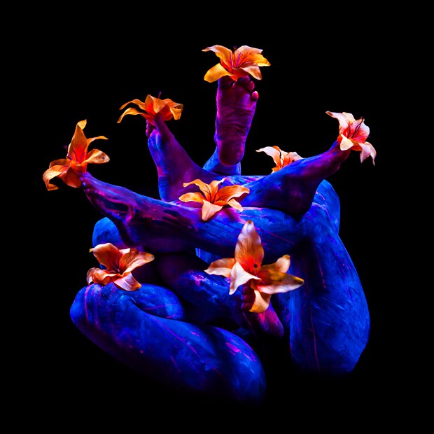 Alien Bouquet  Body Painting Photo by Photographer Under Black Light