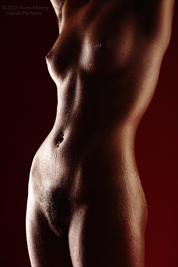 All Lubed Up ! Artistic Nude Photo by Model Jasmine