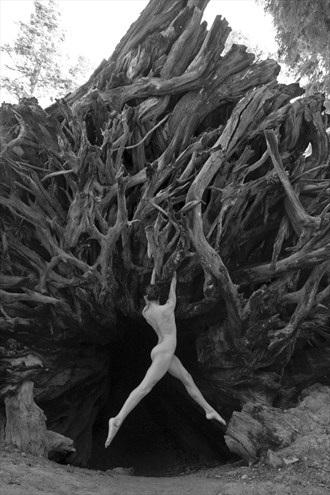 All that lives, dies Artistic Nude Artwork by Photographer The Things I've Seen