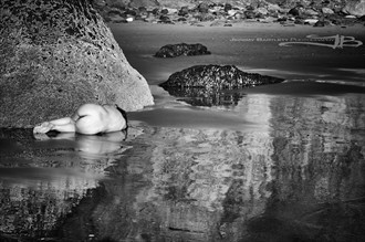 Alone at Low Tide Artistic Nude Photo by Photographer Jeremy Bartlett