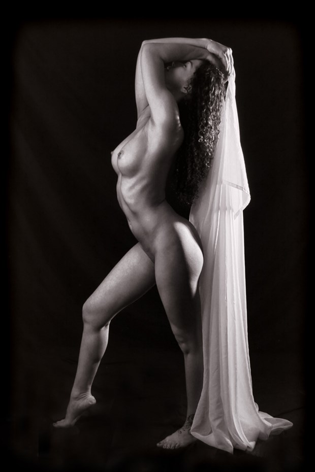 Amelia Artistic Nude Photo by Photographer WildmanChuck