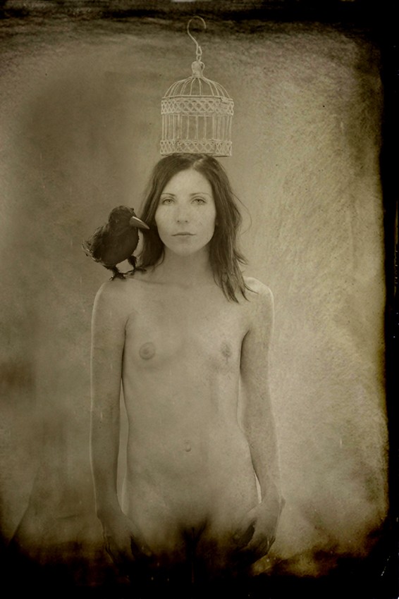 Amye Artistic Nude Photo by Photographer Pat Berrett