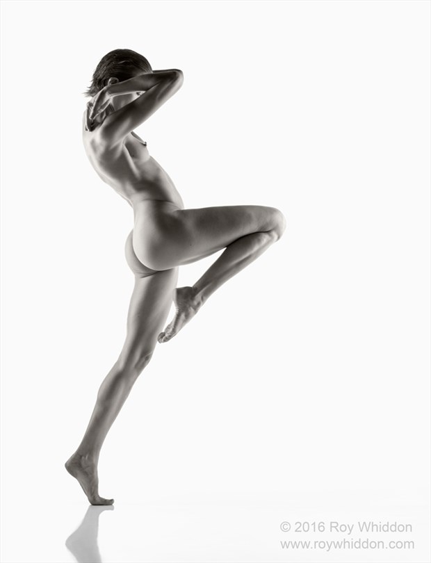 An Eye for Dance Artistic Nude Photo by Photographer Roy Whiddon