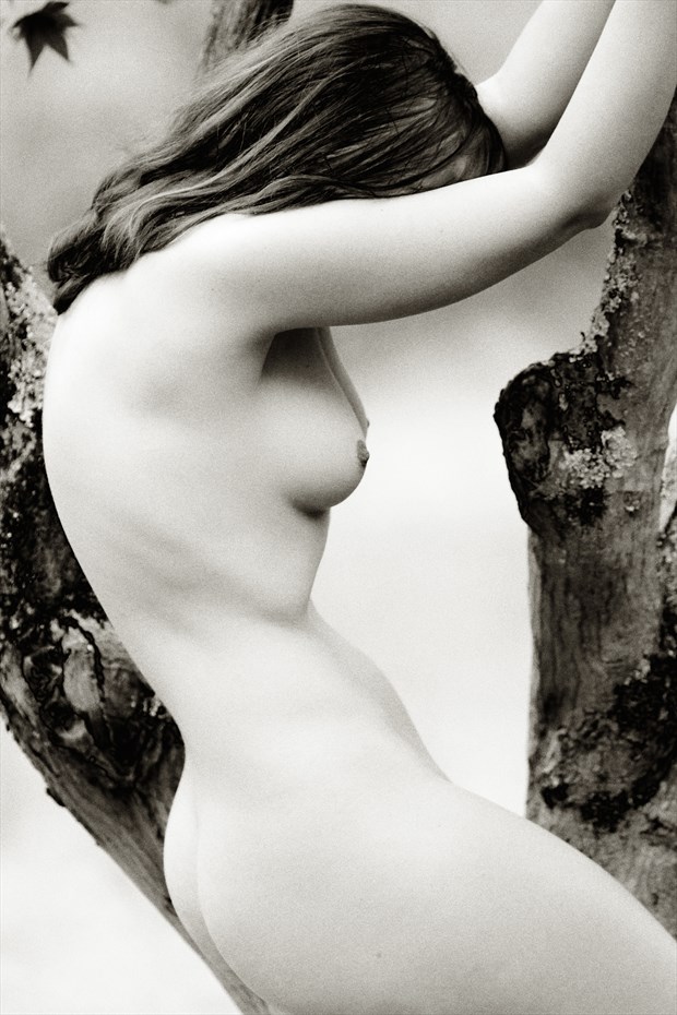 Anastasia Artistic Nude Photo by Photographer SteveLease