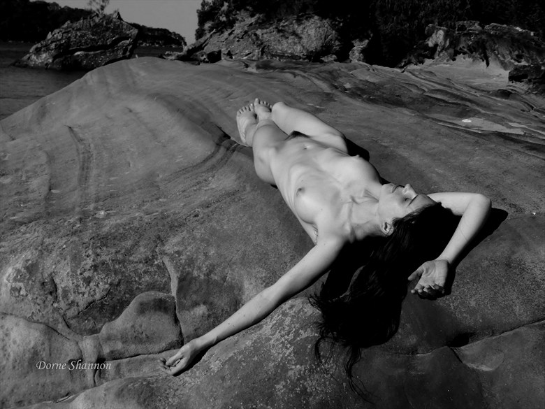 Andrea Artistic Nude Photo by Photographer Dorne Shannon 