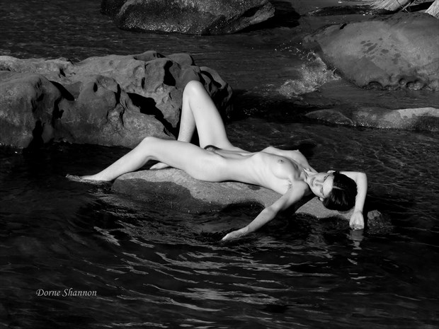 Andrea Artistic Nude Photo by Photographer Dorne Shannon 