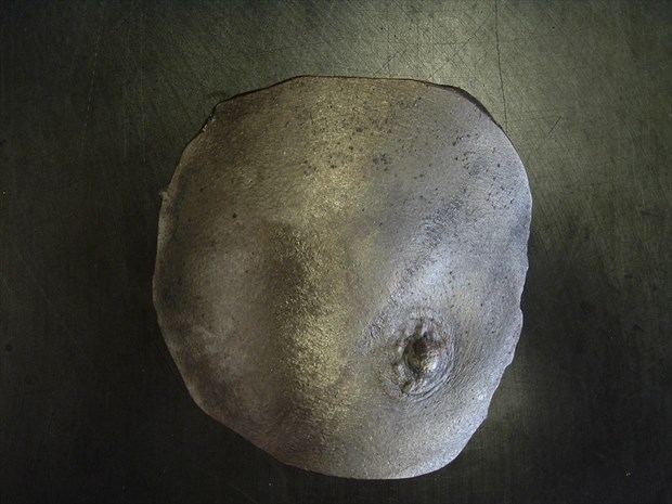 Androgynous Artistic Nude Artwork by Artist Silversmith