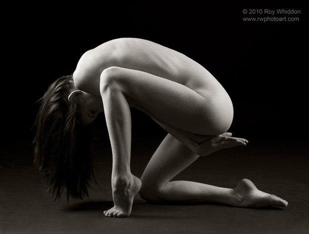 Angular Grace I Artistic Nude Photo by Photographer Roy Whiddon