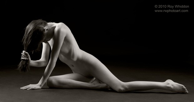 Angular Grace IV Artistic Nude Photo by Photographer Roy Whiddon
