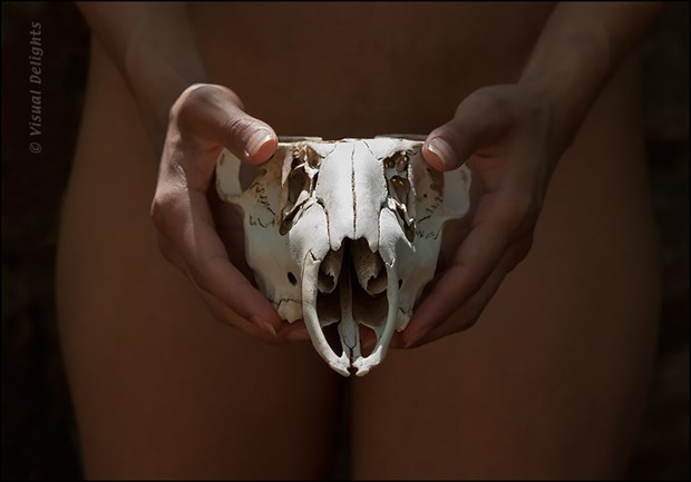 Animal Skull in Front of Torso Nature Photo by Photographer Visual Delights