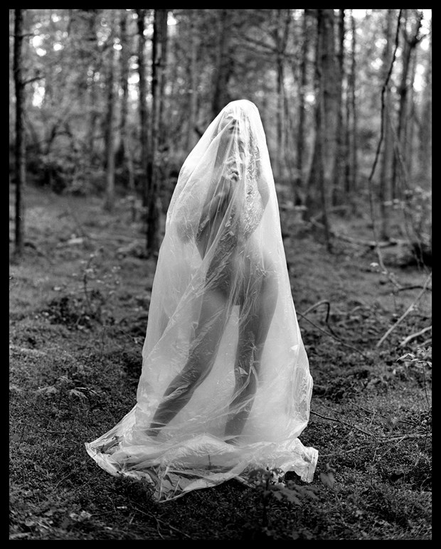 Anna in Plastic Artistic Nude Photo by Photographer Grant Beecher
