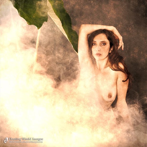 Anoush in Fog Artistic Nude Photo by Photographer Floating World Images