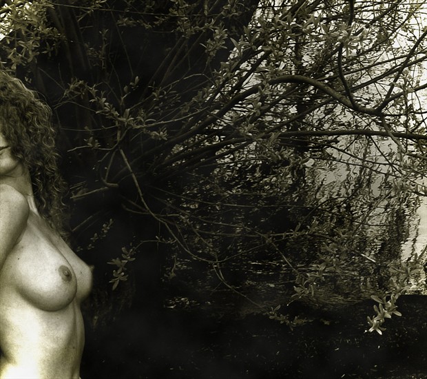 Aoine in Coppertone  Artistic Nude Photo by Photographer Marty C 