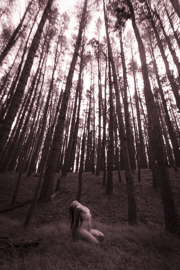 Arboreal Shrine Artistic Nude Photo by Photographer Opp_Photog