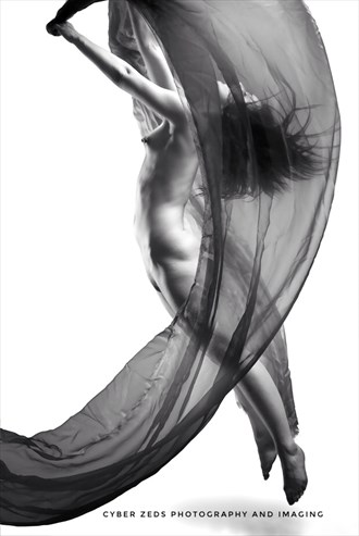 Arc Artistic Nude Photo by Photographer Cyber Zeds