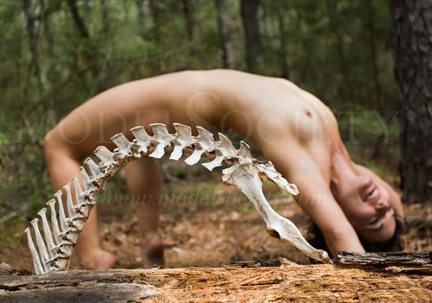 Arched Nude Mimicking Animal's Vertebral Column Artistic Nude Photo by Photographer Visual Delights