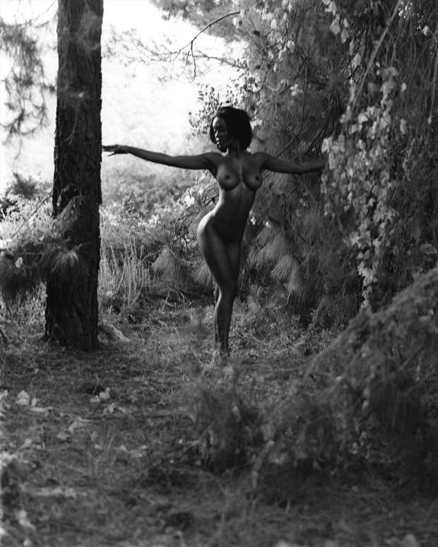 Arrey in SoCal Artistic Nude Photo by Photographer JMaloney