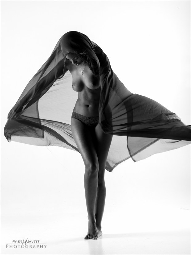 Artistic Nude Abstract Artwork by Photographer mehamlett