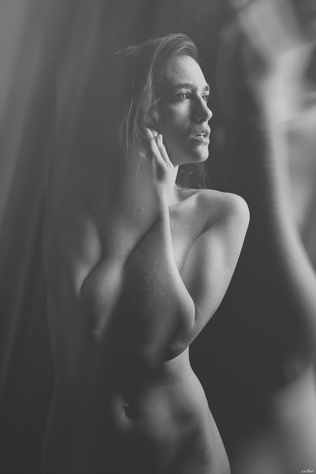Artistic Nude Abstract Photo by Model Sirena E. Wren
