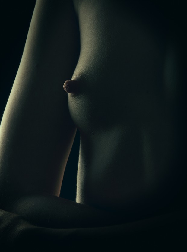 Artistic Nude Abstract Photo by Photographer Andy G Williams