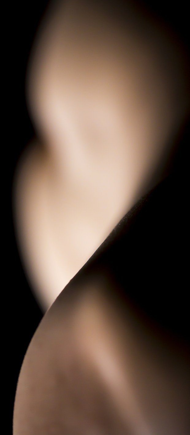 Artistic Nude Abstract Photo by Photographer Axiaelitrix