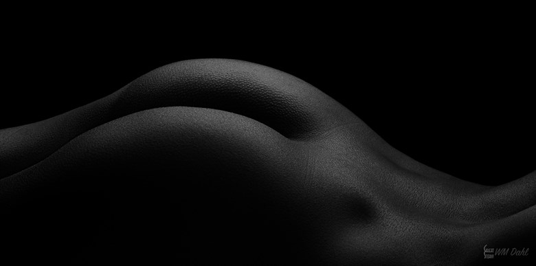 Artistic Nude Abstract Photo by Photographer Bill Dahl