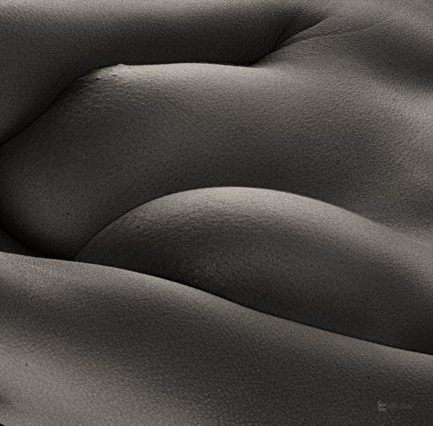 Artistic Nude Abstract Photo by Photographer Bill Dahl