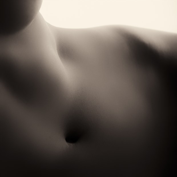 Artistic Nude Abstract Photo by Photographer Fushigii.Photo
