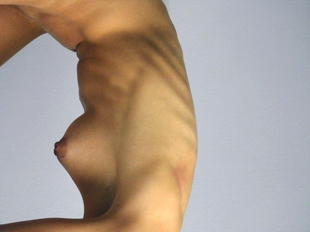 Artistic Nude Abstract Photo by Photographer LK Withers