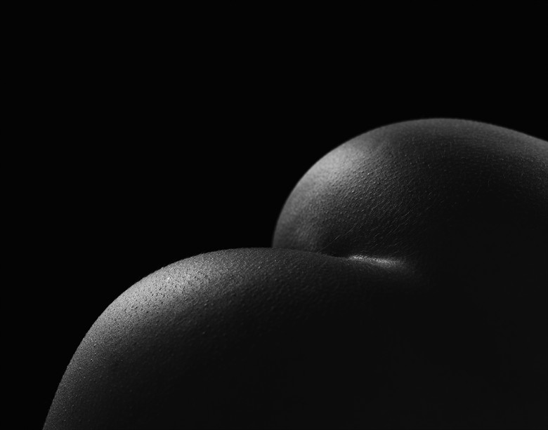Artistic Nude Abstract Photo by Photographer Lottg