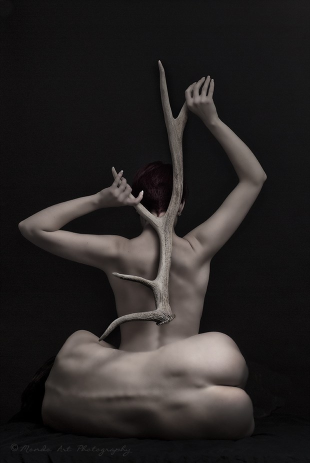 Artistic Nude Abstract Photo by Photographer Mondo