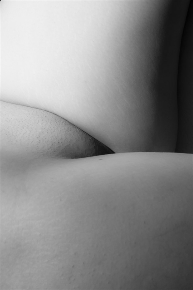 Artistic Nude Abstract Photo by Photographer Opp_Photog