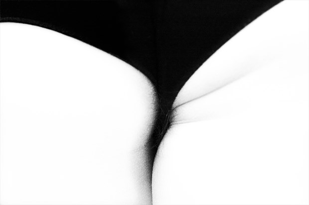 Artistic Nude Abstract Photo by Photographer Ricardo J Garibay